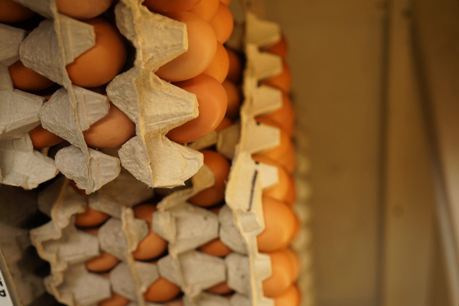 Brown Eggs