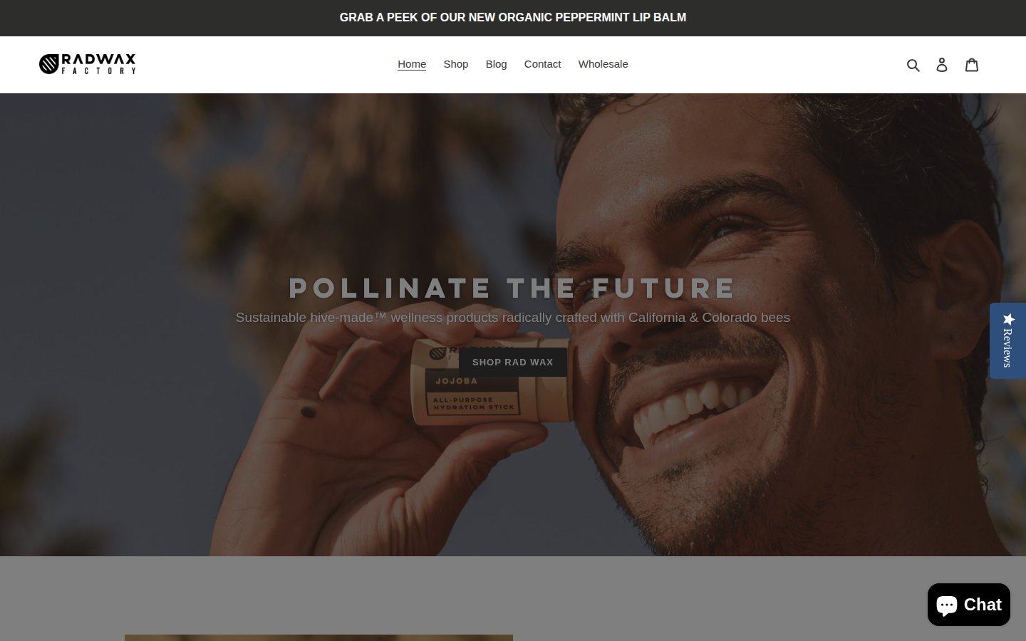 Rad Wax Factory — before redesign